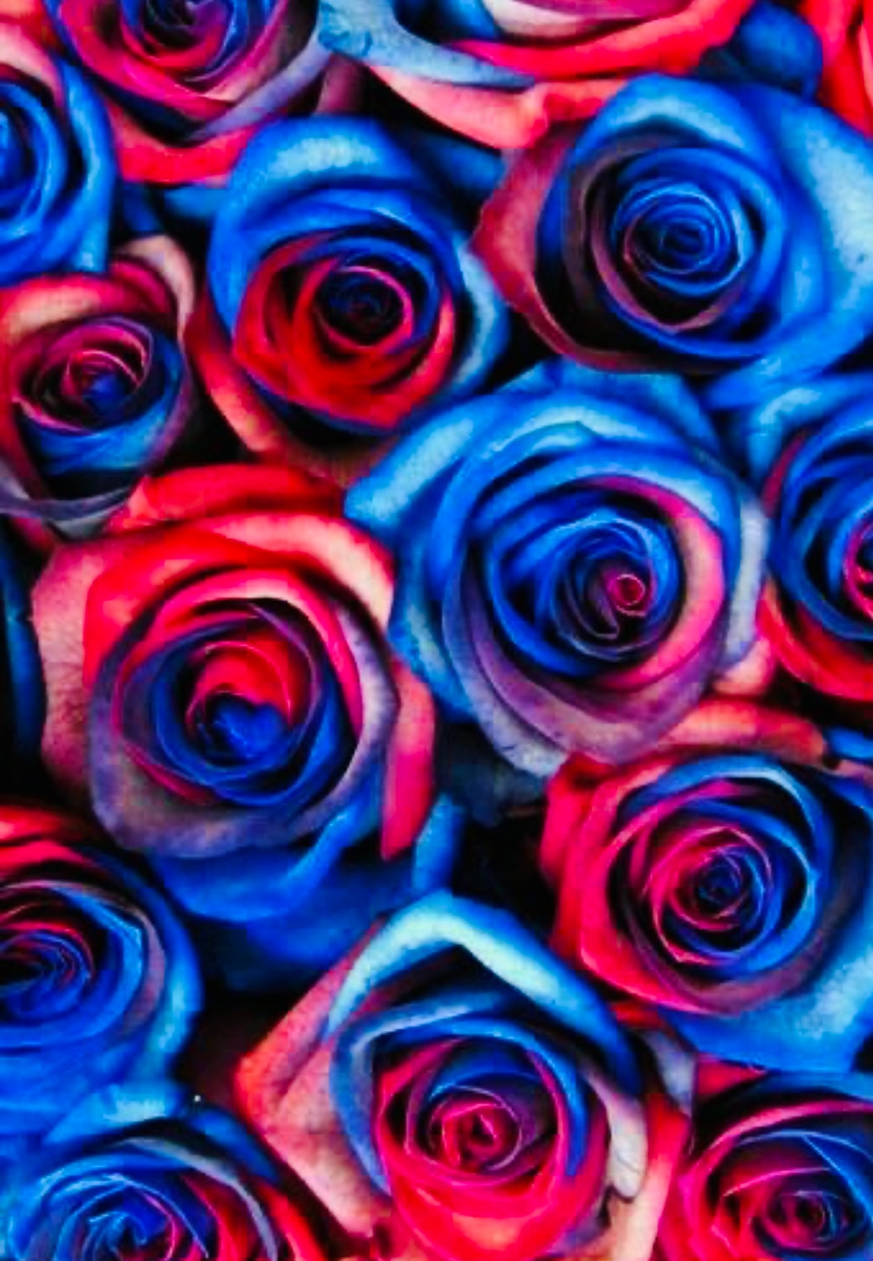 Red, White & Bloom